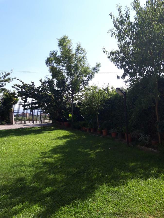 La Casa Di Ida Daire Porciano Dış mekan fotoğraf